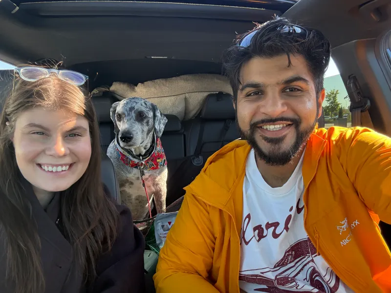 A picture from the gallery